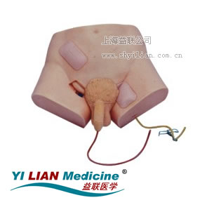 ���Ԍ���ģ��