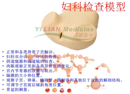 �D�ƙz��ģ��