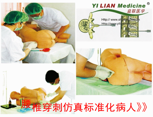 ��׵���̷���˜ʻ�����