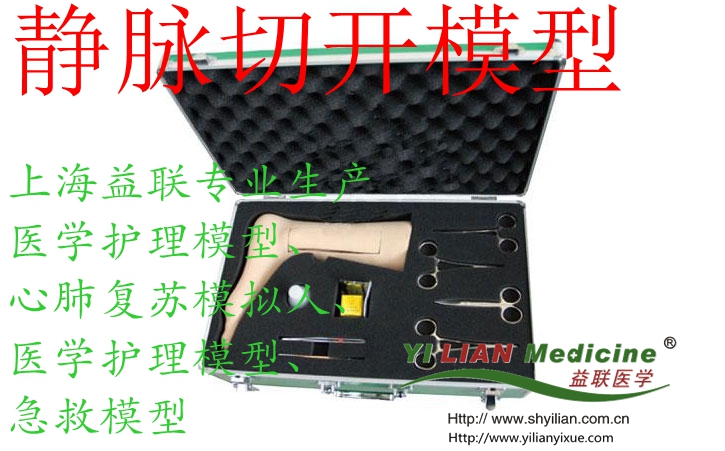 �o�}���_ģ��