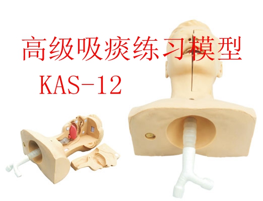 �߼���̵����ģ��