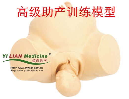 ���aӖ��ģ��