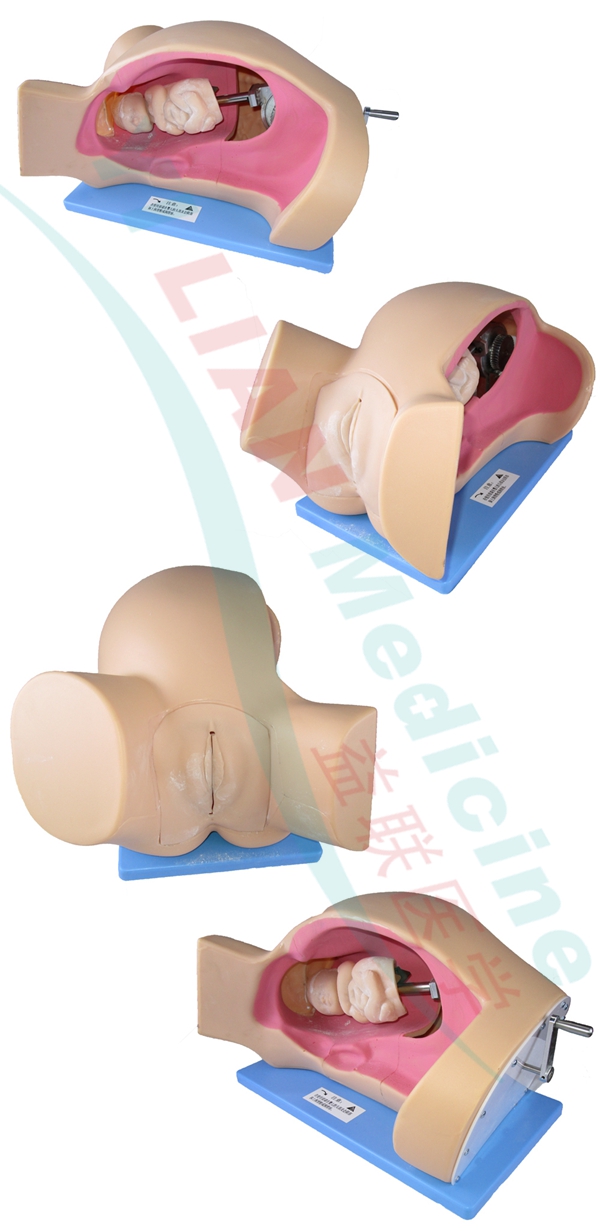 ����C�Dʾ��ģ��