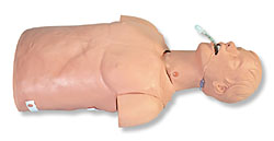 ���˚�ܲ��Ӗ��ģ��