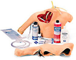 �����o�}����(���o�}����)ģ��