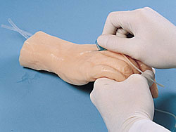 �˜��o�}ע���ֲ�