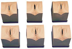 �aǰ�m�i׃��ģ��