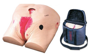 �쯏�o��ģ��(�����{˹)