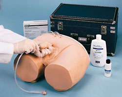 ���Ԍ���ģ��