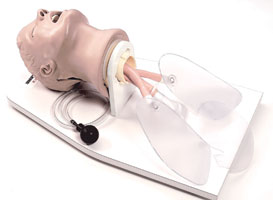 ���Ȳ���^��ģ��