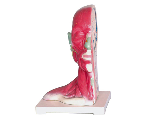 �^�����i���ֽ�