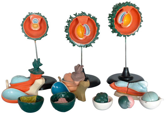 �����ܾ������Ѻ������γ��^�̣�13������