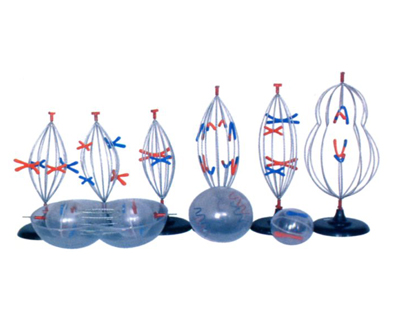 �����нz�p�����ѣ�9������