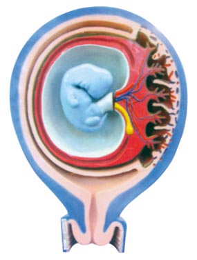 ̥��̥Ĥ�c�ӌm���Pϵ��1������