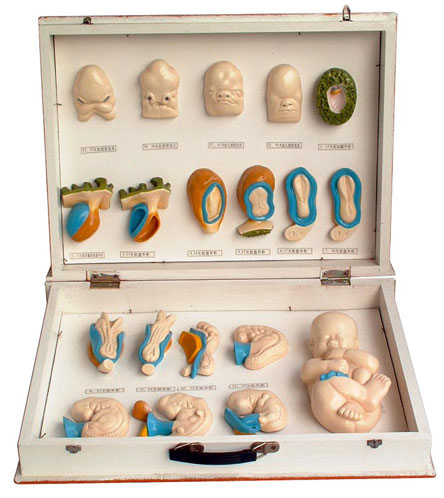 ̥�����μ��沿�l����1�У�