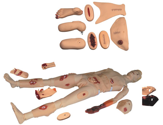 ȫ���܄����o����