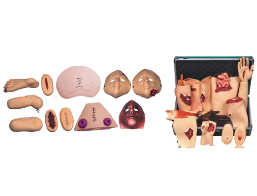 �����o���u��ģ�K