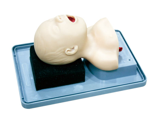 ��������ܲ��Ӗ��ģ��