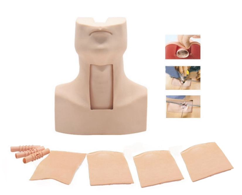 �߼��h��Ĥ���̼�������_���Ӗ��ģ��