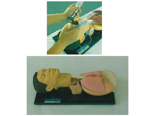 �߼���ܲ��Ӗ������ģ��