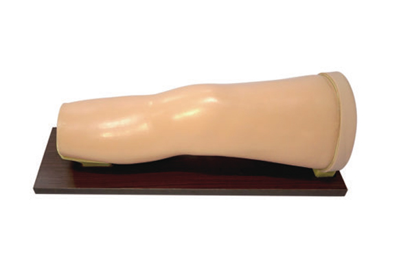 ϥ�P��ǻ��ע��ģ��