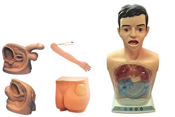 ���ͻ��A�o�팍������ģ�ͣ��岿����