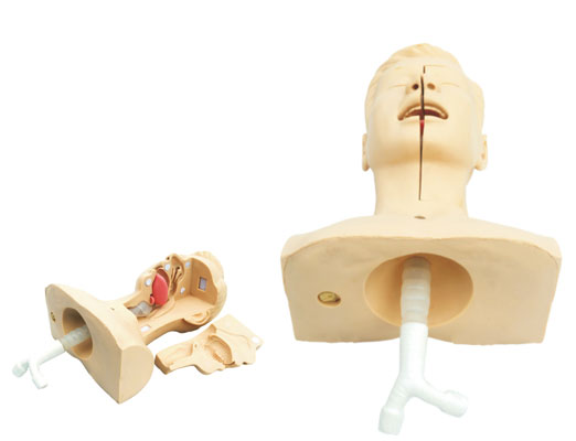 �߼���̵����ģ��