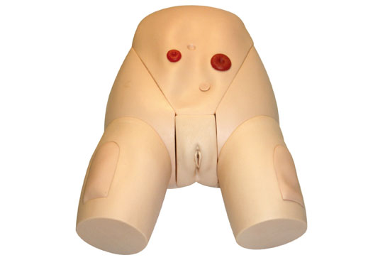 �߼����wŮ�Ԍ���ģ��