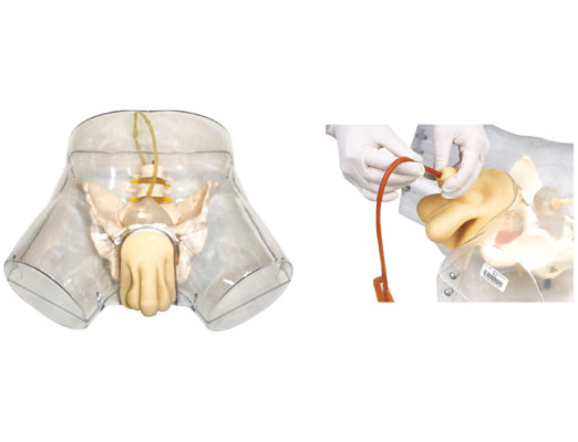 �߼�͸�����Ԍ���ģ��