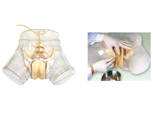 �߼�͸��Ů�Ԍ���ģ��