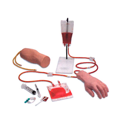 �ֲ����ⲿ�M��ʽ�o�}ݔҺ��Ѫ��Ӗ��ģ��