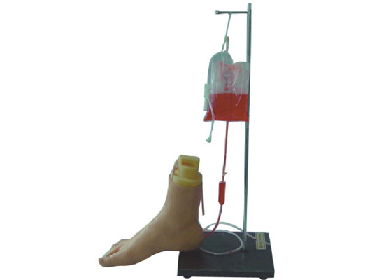 ��֫�㲿�o�}ע�����ģ��