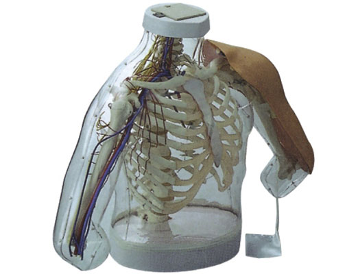 �߼��ϱۼ���ע�估����ģ�ͣ����z�y��ʾϵ�y��