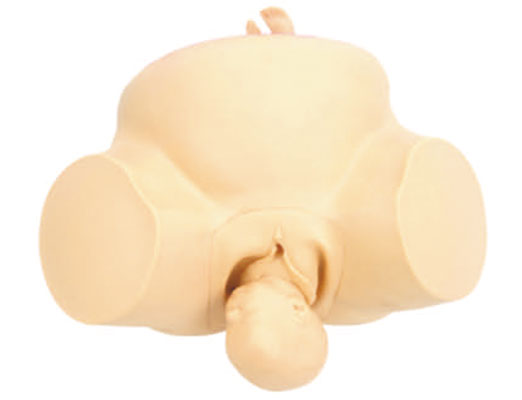 �߼����aӖ��ģ��