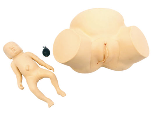 �߼��y�aʾ��Ӗ��ģ��