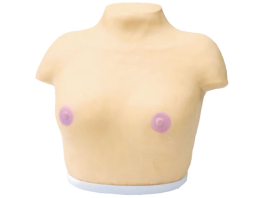 �߼�����ҕ�\�c�|�\ģ��