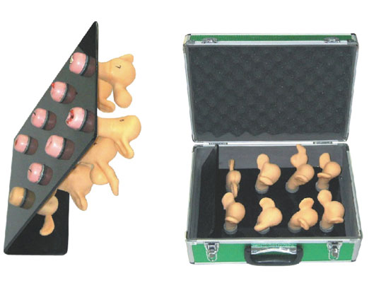 �߼��ӌm�m�i��׃ģ�ͣ�8����