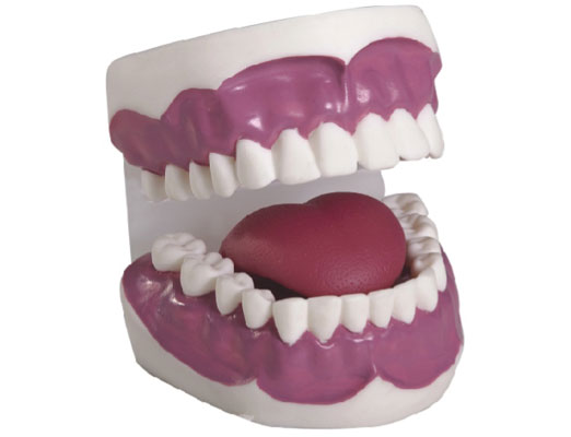 ���o������ģ�ͣ��Ŵ�2����