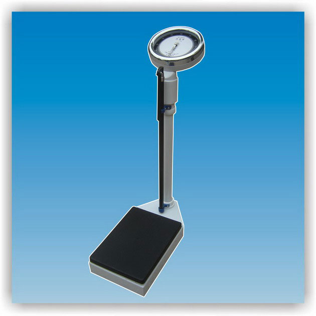 ���w�ӣ���������ָ�ʽ��