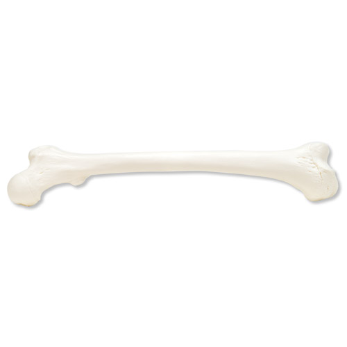 ���ǣ���