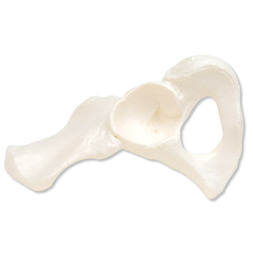 �y������