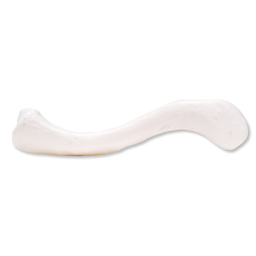 �i������