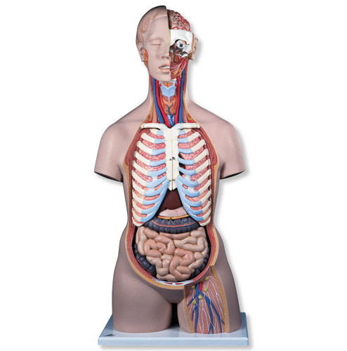 ����o���|��ģ�ͣ����_����21����