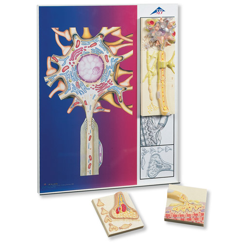 ��������W��ϵ����5�K�Ż�ģ�����ڽ����@ʾ��