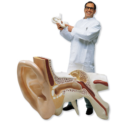 ȫ�����Ķ�ģ���������15����3����