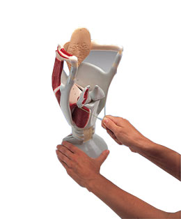 �����ʺ��������4��