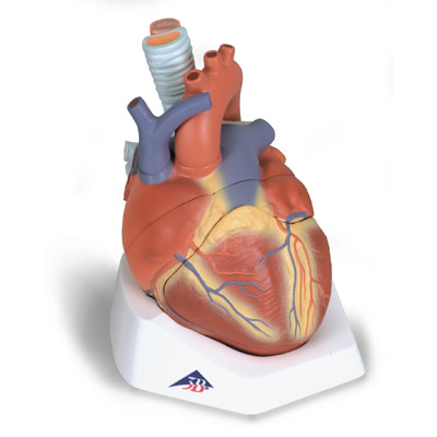 ���Kģ����7����