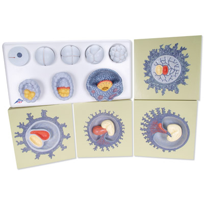 ��̥���L�^��ģ����12���A��