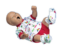 �����o����������