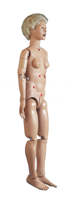 ���A�����o��ģ����Ů��